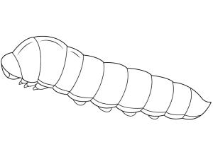 Tırtıl boyama sayfası,  coloring page, Normal Tırtıl, 