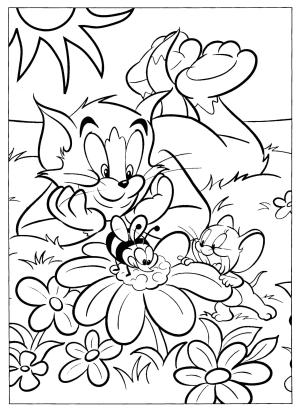 Tom Ve Jerry boyama sayfası,  coloring page, Arı ile Tom ve Jerry, 