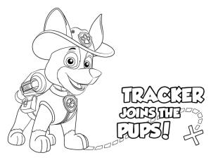 Tracker Paw Patrol boyama sayfası,  coloring page, Tracker Paw Patrol anahat resmi, 