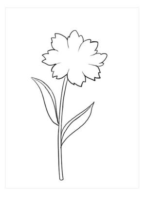 Trilyum boyama sayfası,  coloring page, Büyük Trilyum, 