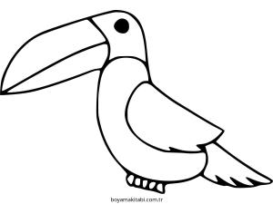 Tukan boyama sayfası – çocuk aktivitesi, PDF indir