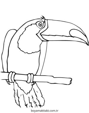 Tukan boyama sayfası – PDF indir, sevimli karakter