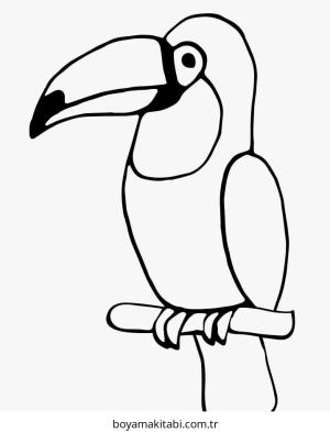 Tukan boyama sayfası – boyama çalışması, yaratıcılığı geliştirir