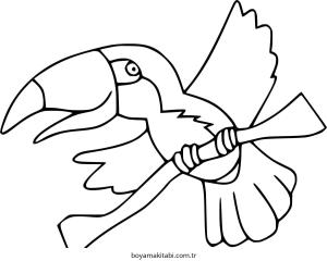 Tukan boyama sayfası – sevimli karakter, sanatsal çalışma