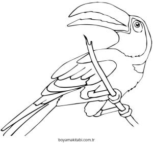 Tukan Boyama