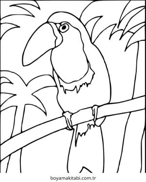 Tukan boyama sayfası – eğitici aktivite, yaratıcılık