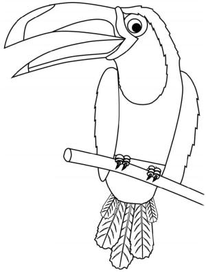 Tukan boyama sayfası,  coloring page, Dalda Tukan, 