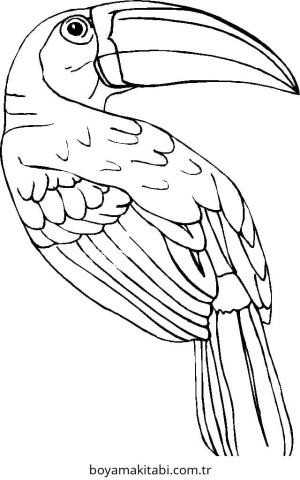 Tukan boyama sayfası – eğlenceli etkinlik, el becerilerini geliştirir
