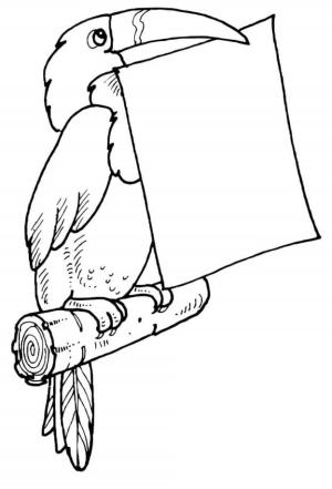 Tukan boyama sayfası,  coloring page, Toucan Görev Mektubu, 