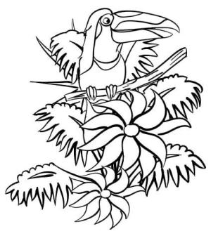 Tukan boyama sayfası,  coloring page, Ormandaki Toucan, 