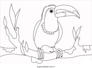 Tukan boyama sayfası – el becerilerini geliştirir, boyama çalışması