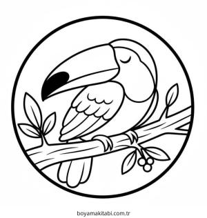 Tukan boyama sayfası – yaratıcılığı geliştirir, keyifli zaman