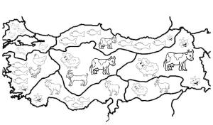 Türkiye Haritası boyama sayfası,  coloring page, Türkiye Haritası 3, 