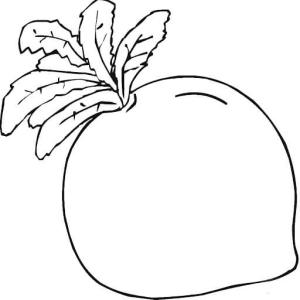 Turp boyama sayfası,  coloring page, Tatlı Turp, 