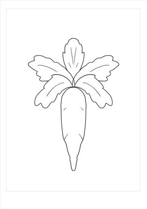 Turp boyama sayfası,  coloring page, Inanılmaz Turp, 