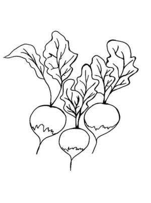 Turp boyama sayfası,  coloring page, Üç Turp, 