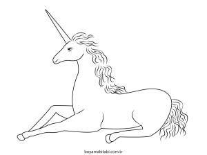 Unicorn Boyama