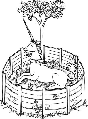 Unicorn boyama sayfası, Unicorn coloring page, Unicorn Kafeste, 