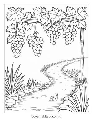 Üzümler Boyama