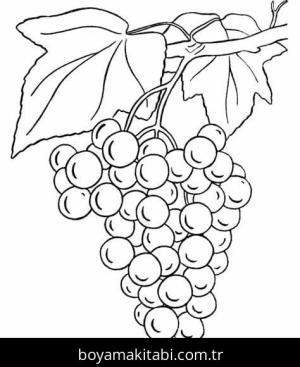 Üzümler Boyama