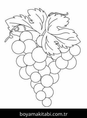 Üzümler Boyama