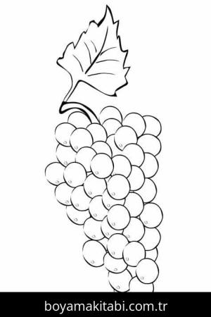 Üzümler Boyama