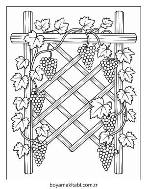 Üzümler Boyama