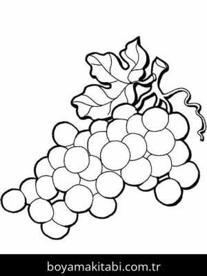 Üzümler Boyama