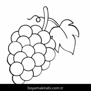 Üzümler Boyama