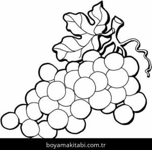 Üzümler Boyama