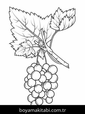 Üzümler Boyama