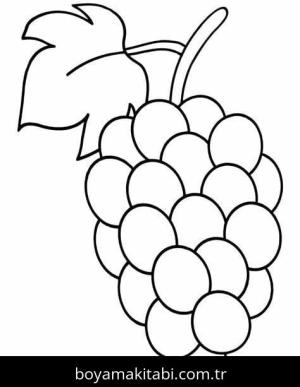 Üzümler Boyama