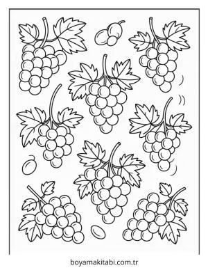 Üzümler Boyama