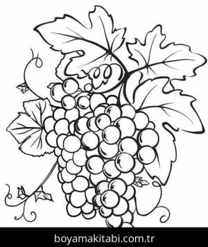Üzümler Boyama