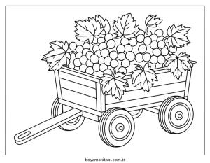 Üzümler Boyama