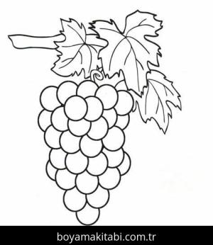 Üzümler Boyama