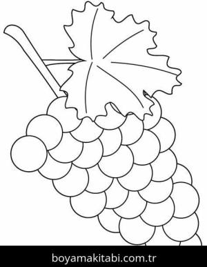 Üzümler Boyama