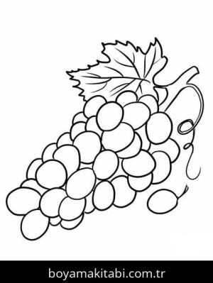 Üzümler Boyama