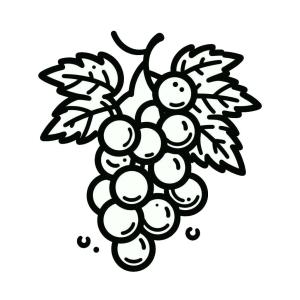 Üzümler boyama sayfası, coloring page, Üzümler – Sayfa 3,