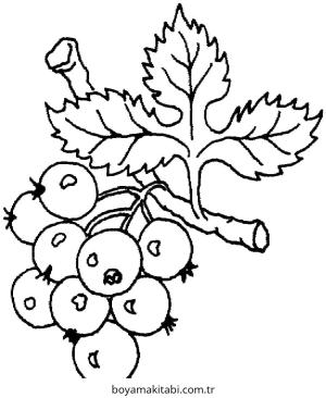 Üzümler boyama sayfası – sanatsal çalışma, çocuklar için