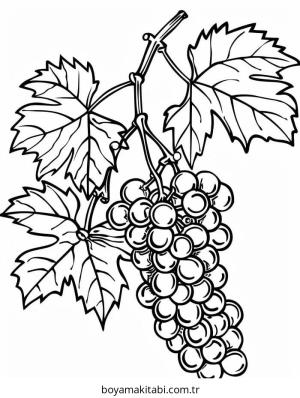 Üzümler boyama sayfası – çocuk aktivitesi, PDF indir