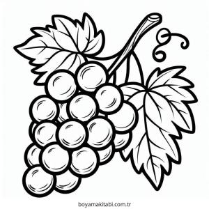 Üzümler boyama sayfası – basit çizim, kolay boyama