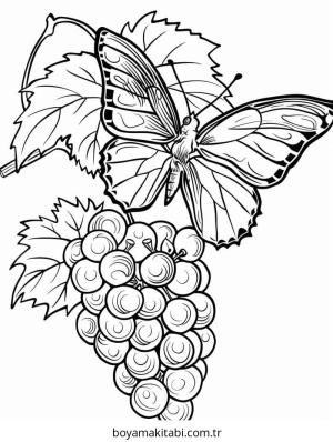 Üzümler boyama sayfası – okul öncesi, evde etkinlik