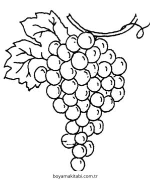 Üzümler boyama sayfası – çocuklar için, çizgi film temalı