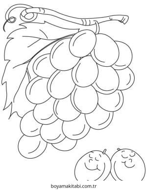 Üzümler boyama sayfası – ücretsiz yazdır, boyama etkinliği