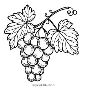 Üzümler boyama sayfası – sanatsal çalışma, çocuklar için
