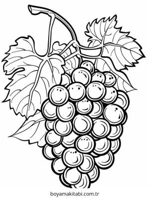 Üzümler boyama sayfası – el becerilerini geliştirir, boyama çalışması