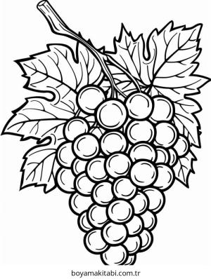 Üzümler Boyama
