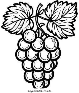 Üzümler boyama sayfası – kolay boyama, eğitici aktivite