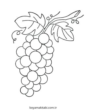 Üzümler boyama sayfası – çizgi film temalı, basit çizim